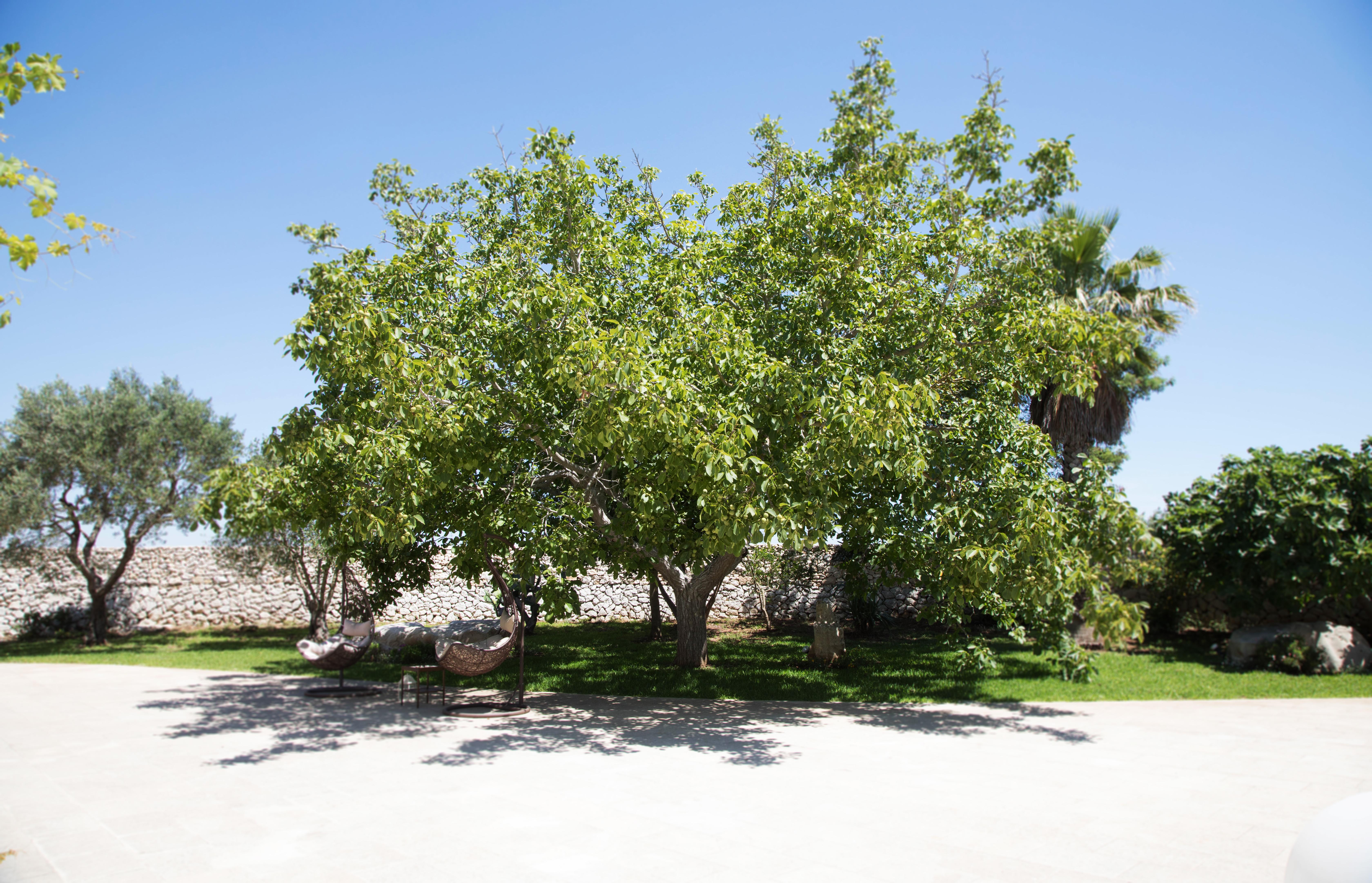 Don Agostino Relais Masseria มาร์ตาโน ภายนอก รูปภาพ